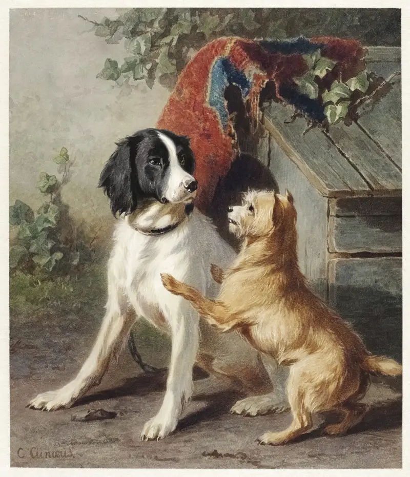 Two dogs by a kennel by Conradijn Cunaeus